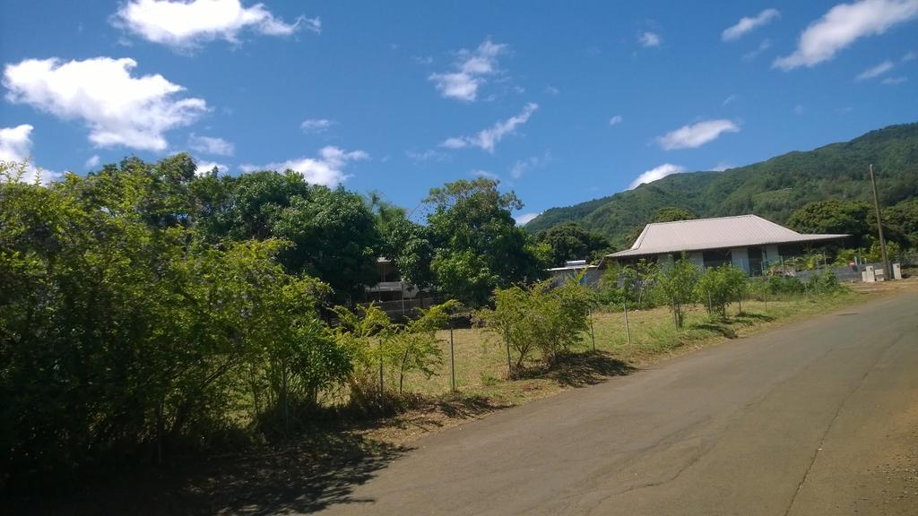 Les Bungalows Du Mont-Auban Sainte-Clotilde Kültér fotó