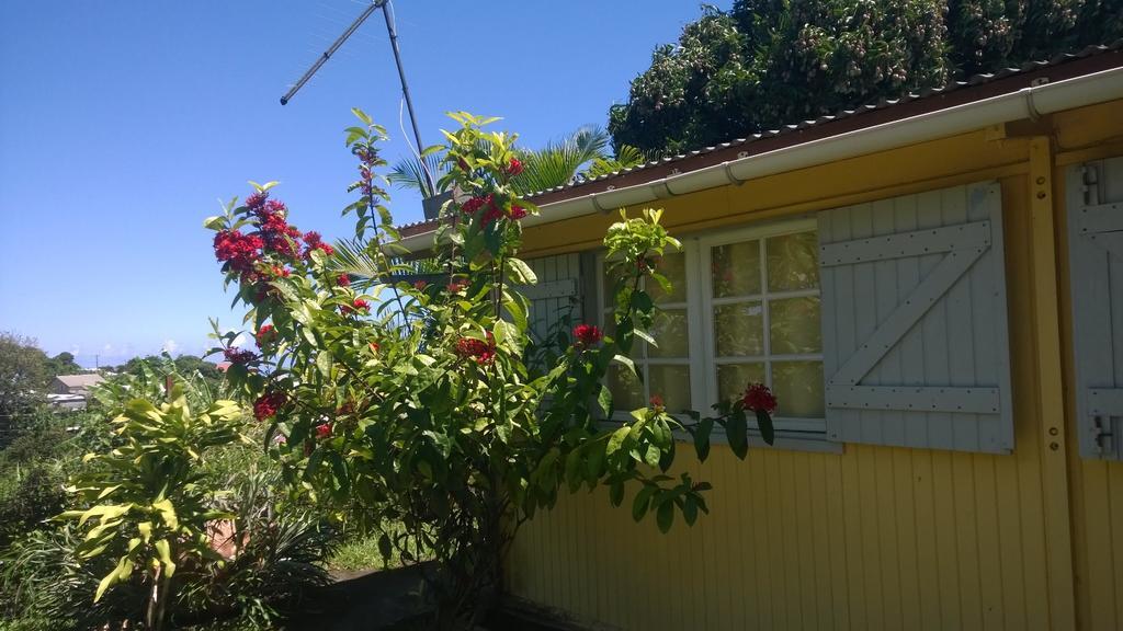 Les Bungalows Du Mont-Auban Sainte-Clotilde Kültér fotó