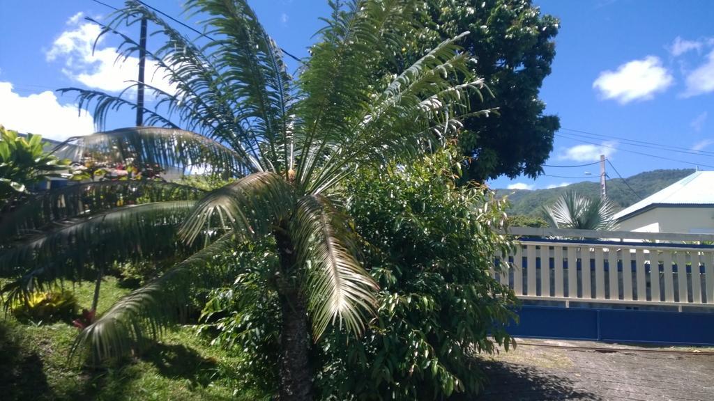 Les Bungalows Du Mont-Auban Sainte-Clotilde Kültér fotó