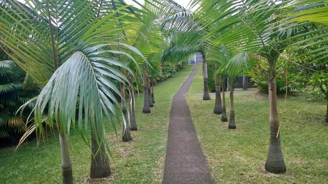 Les Bungalows Du Mont-Auban Sainte-Clotilde Kültér fotó